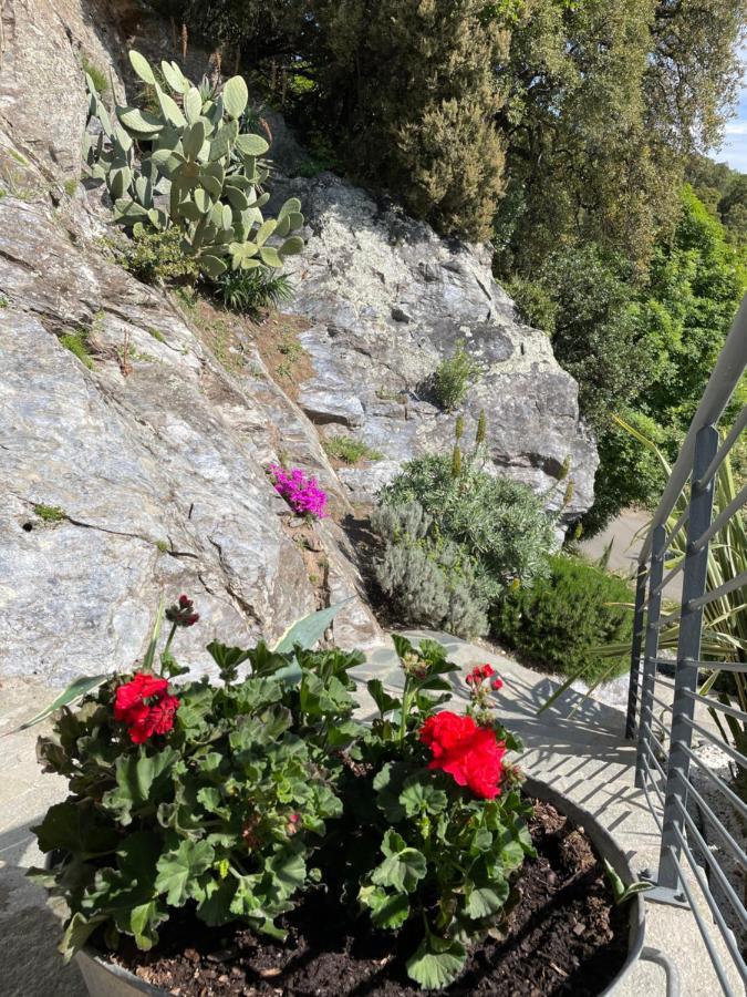Villa Petrera Valle-di-Campoloro Esterno foto